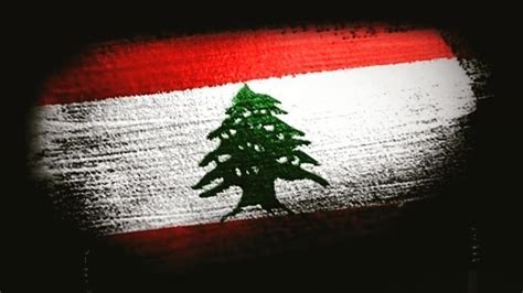 Petition · UNITED NATIONS INTERVENTION IN LEBANON - India · Change.org