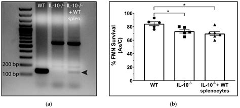 Cellular Sources and Neuroprotective Roles of Interleukin-10 in the ...