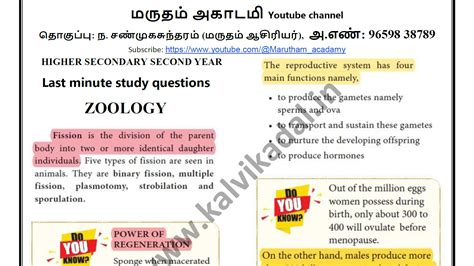 12th Zoology Inside Questions English Medium 2024 | Kalvi Kadal Materials