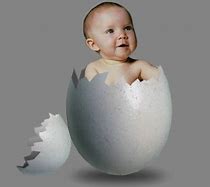 Image result for Baby Chick Easter Egg