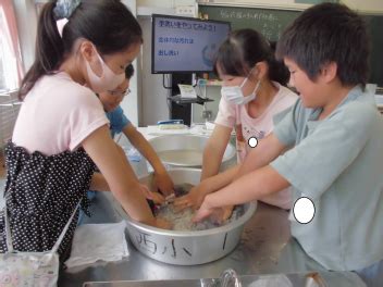 Image result for Reflective Learning Theory Example