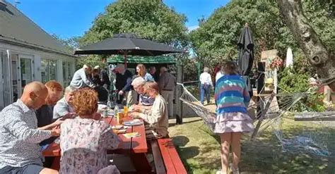 Sommerlicher Museumsgarten lädt Besucher in Hirtshals ein | Dänemark.Guide