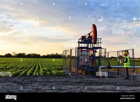 Oil Engineer 的图像结果