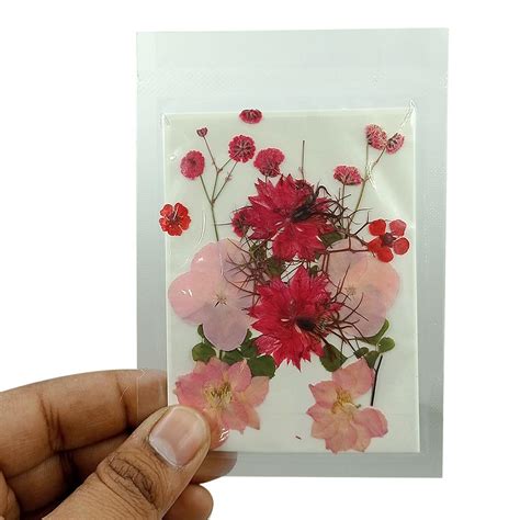 YellowCult Natural Real Dried & Pressed Flowers Combo Sheets for Art ...