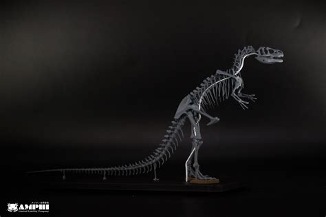 アロサウルス 縮小全身骨格レプリカ Allosaurus, miniature whole body skeleton replica ...