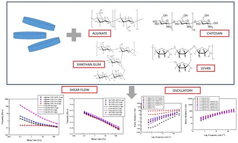 Steady and Oscillatory Shear Flow Behavior of Different Polysaccharides ...