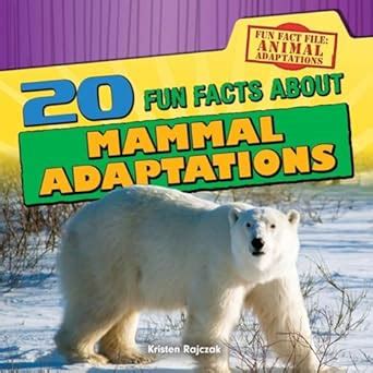 20 Fun Facts About the Nervous System (Fun Fact File: Body Systems Book ...