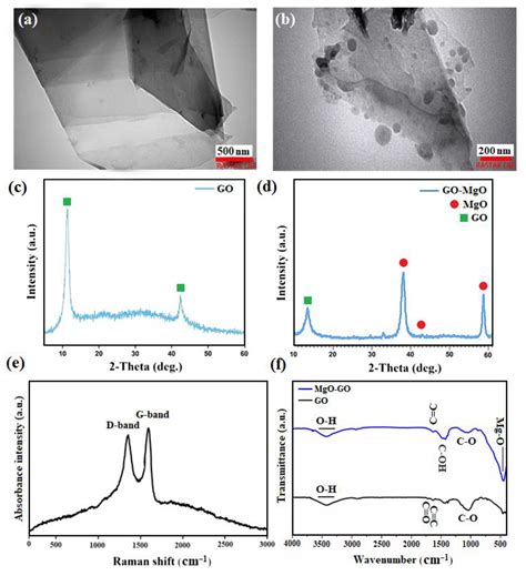Dual Synergistic Effects of MgO-GO Fillers on Degradation Behavior ...
