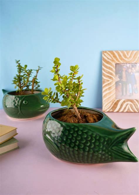 WEAVING HOMES Green Catfish Planter Ceramic Pots Planters for Indoor ...