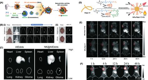 Process Body 的图像结果