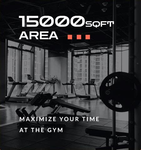 MOF - Ministry of Fitness :: Experience Luxury Fitness