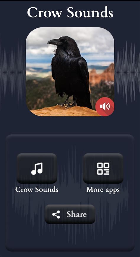 Crow Sound
