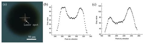 Combustion of Laser-Induced Individual Magnesium Microparticles under ...