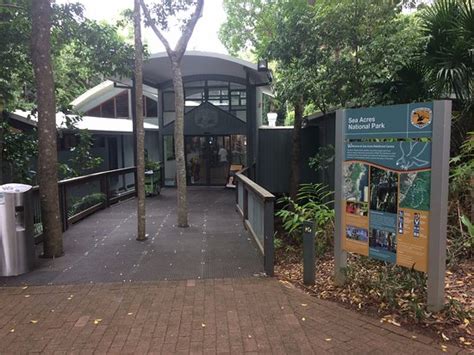 THE RAINFOREST CAFE, Port Macquarie - Restaurant Reviews, Phone Number ...