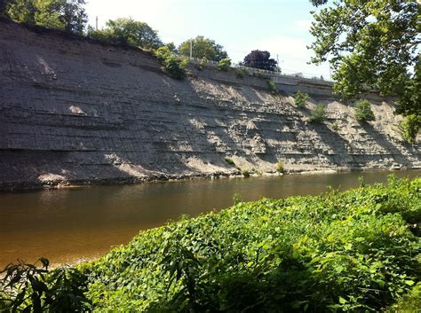 41 North Kayak Adventures (Lakewood) - All You Need to Know BEFORE You Go