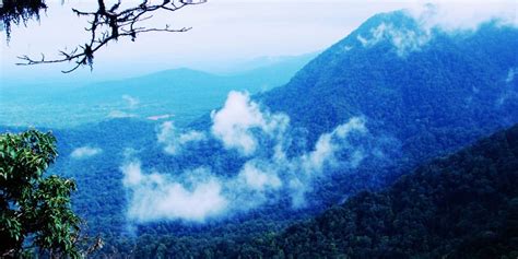 Best Resorts in Shimoga, Homestay in Shimoga City - Forest Edge