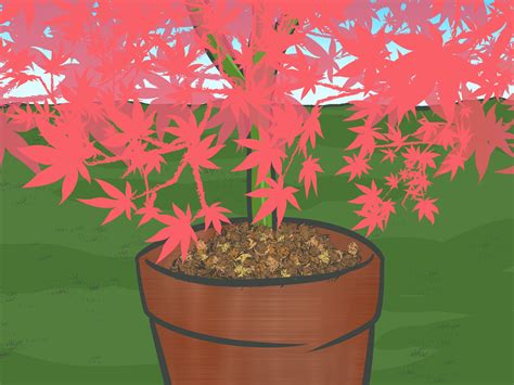 Come Triturare le Foglie Secche con un Tosaerba