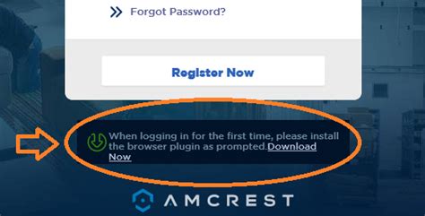 Amcrest Web View 的图像结果