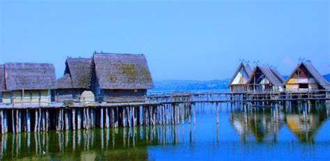 Personality Examples 的图像结果