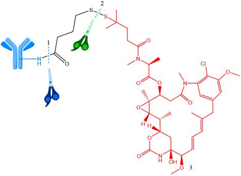 Antibody–Drug Conjugates—Evolution and Perspectives