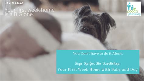 Dogs First Hour Home 的图像结果