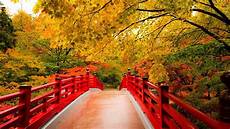 Wallpaper Lock Screen Fall Background by Autumn Screen Wallpaper 64 Images Wallpaper Lock Screen Fall Background
