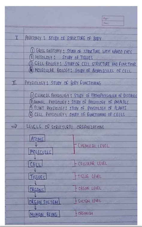 'Human anatomy and physiology Unit 1 notes first semester: Introduction ...