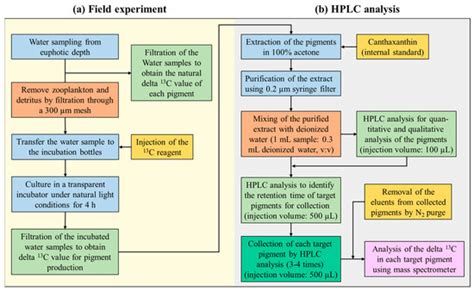 Photophysiological Characterization of Phytoplankton by Measuring ...
