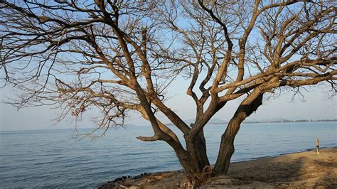 Lake Biwa Marriott Hotel Pool: Pictures & Reviews - Tripadvisor