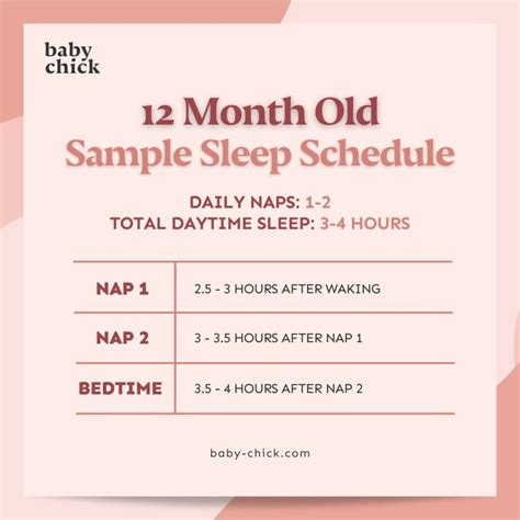 12-Month-Old Baby: Feeding, Sleep, and Milestones by Month - Baby Chick