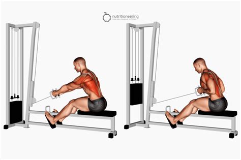 Image result for Row Exercise Machine Variations