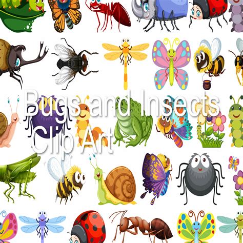 Bugs and Insects Clip Art | Made By Teachers