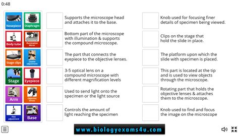 Microscope Parts and Their Functions Matching game