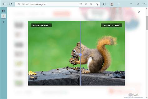 Image Compression 的图像结果