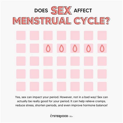 How Sex and Other Things Could Affect the Menstrual Cycle