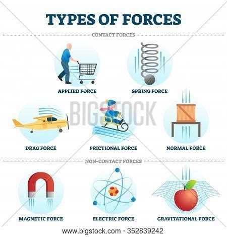 Spring Force Examples 的图像结果