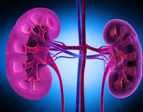 Welcome to ShreeRukma Ayurved