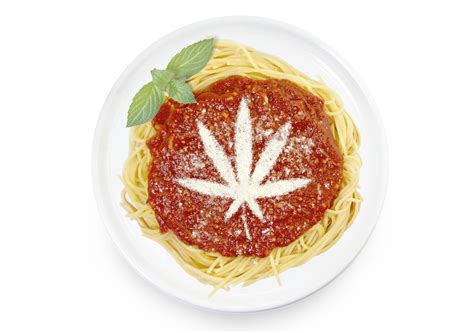 How and When to Defoliate Your Cannabis Plant? - GrowDiaries