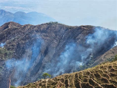 Incendios forestales: Natagaima y Aipe concentran el 83% de las ...