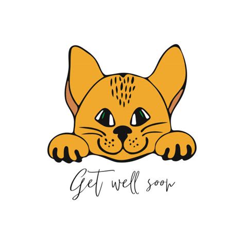 Get Well Soon Cat Illustrations, Royalty-Free Vector Graphics & Clip ...