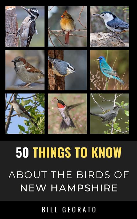 What Is The Nh State Bird at Steven Morton blog