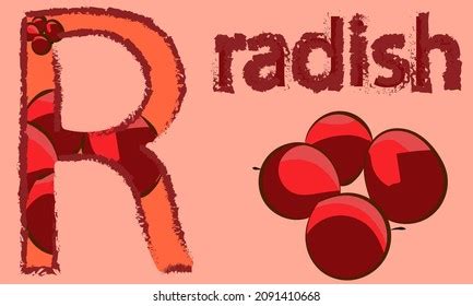 Image result for Classification Study