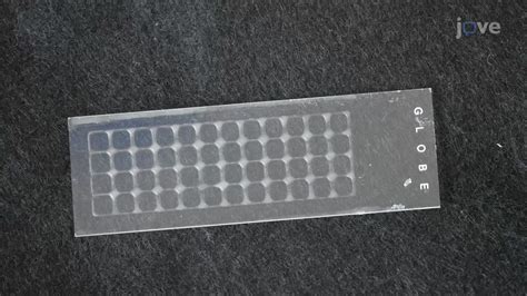 Peptide Microarray Applications 的图像结果
