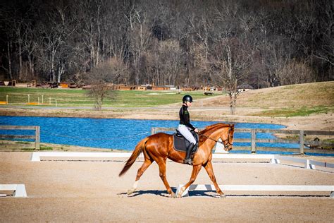 Equibase | Horse Racing | Horse Racing Entries | Horse Racing Results | Past Performances | Mobile | Statistics