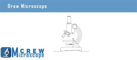 Image result for How to Draw a Microscope