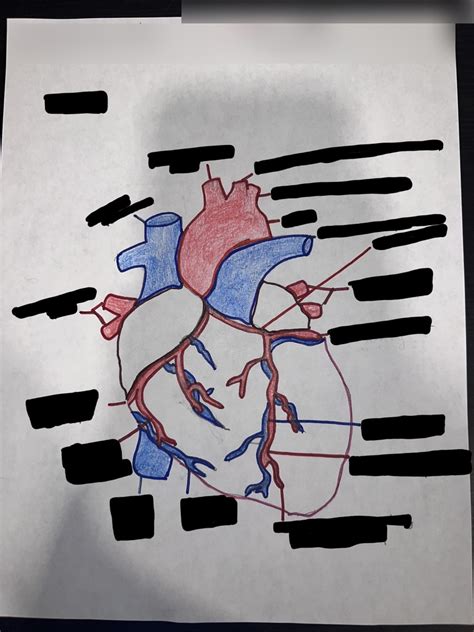 Cardiology 的图像结果