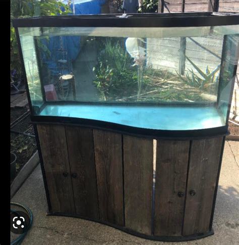noobie needing stocking ideas for 100 gallon tank. currently have pleco ...
