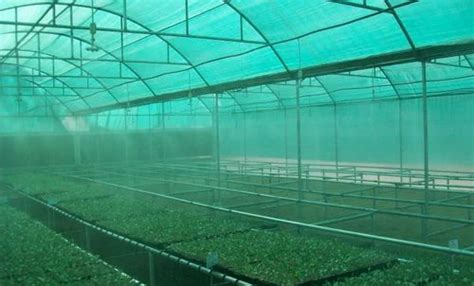 Agro Shade Net - Appron Fabric For Agriculture use Exporter from Vadodara