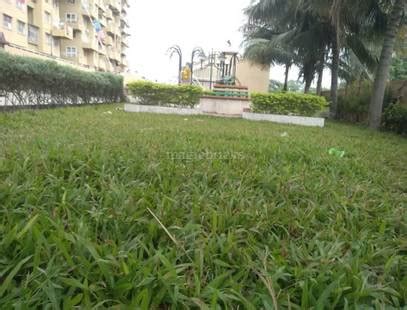 Kesar Tree Town in Moshi, Pune: Price, Brochure, Floor Plan, Reviews