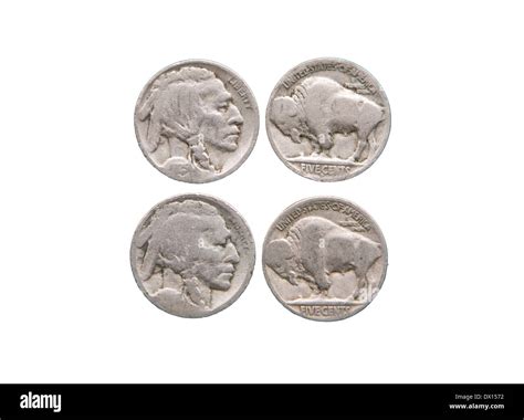 Indian head buffalo nickels front back isolated on white Stock Photo ...
